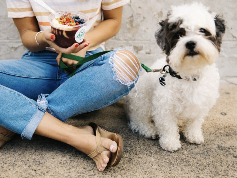 A customer with a bowl and a small white dog